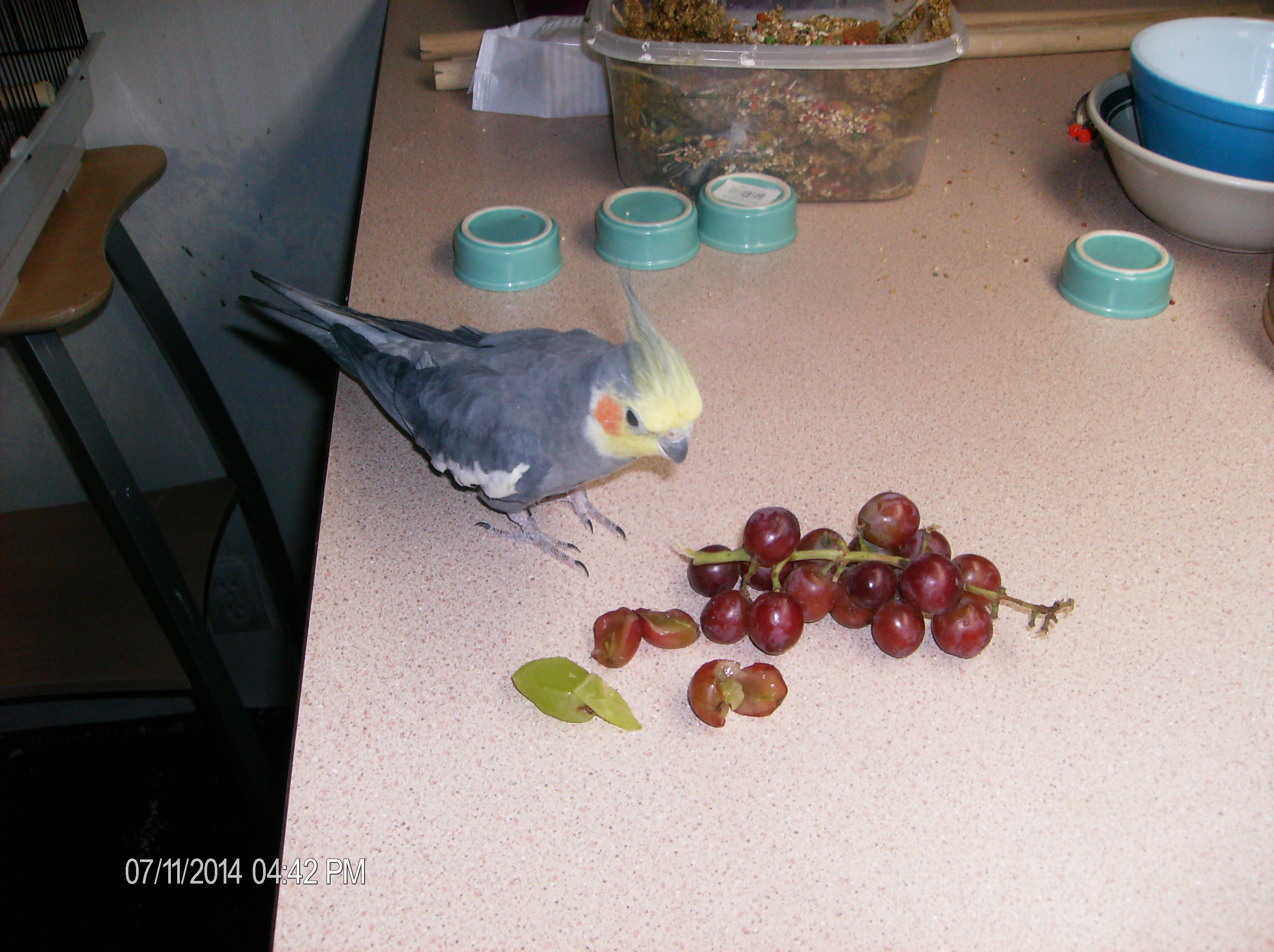 Pretty Boy Eating Grapes