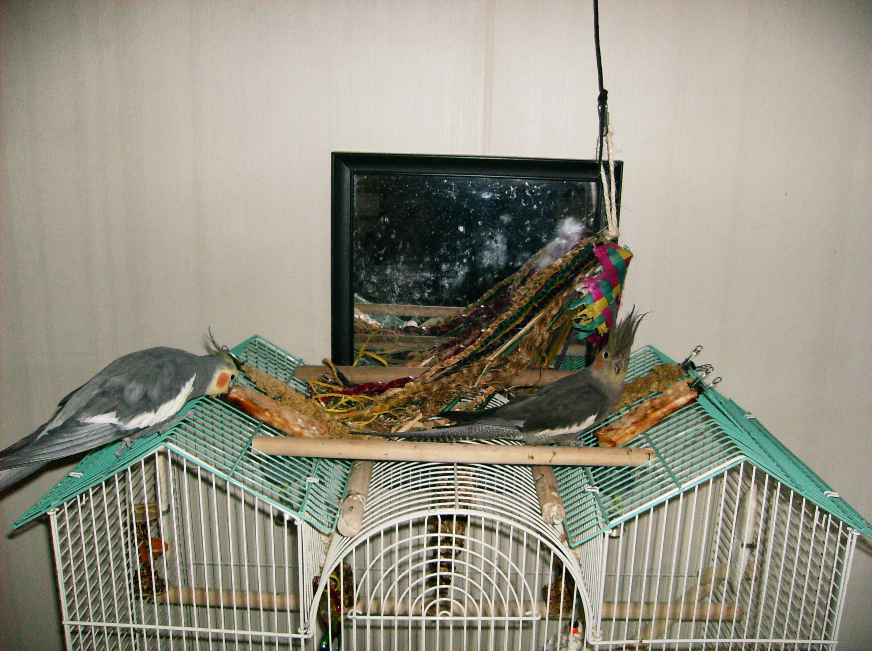 Pizza Cheese - Pretty Boy and Sugar