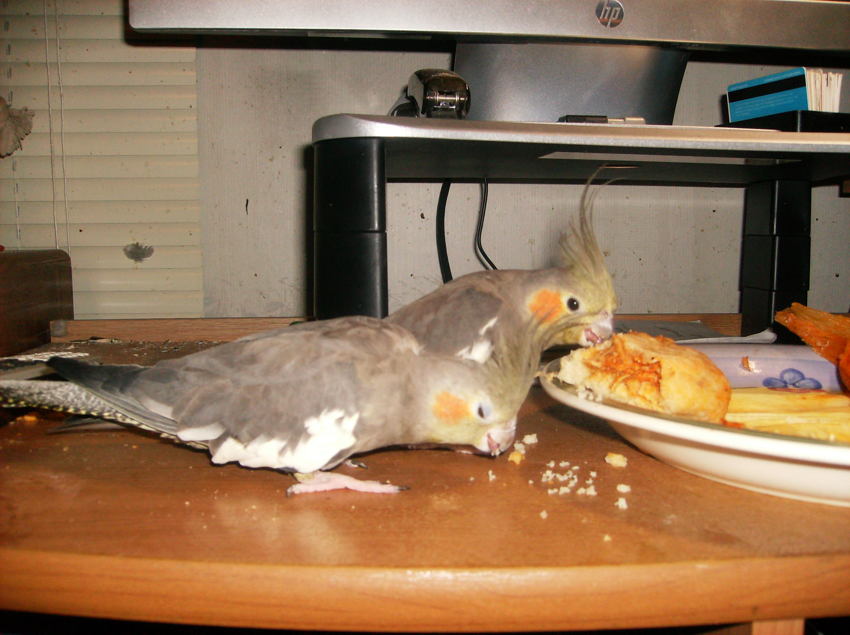 Carly and Sugar Eating Tamale