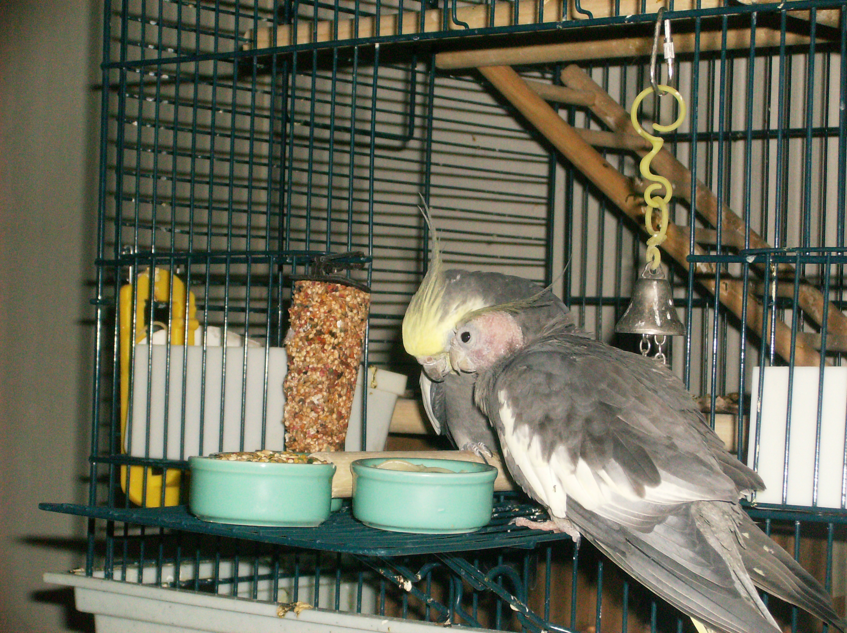 Spice and Spear Cuddling